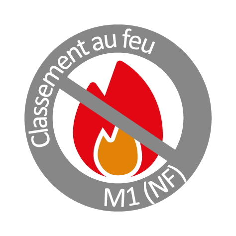 Picto Classement au feu M1
